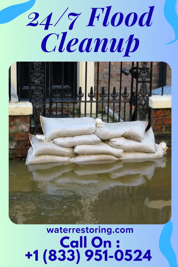 24/7 Flood Cleanup in Grey Eagle, MN