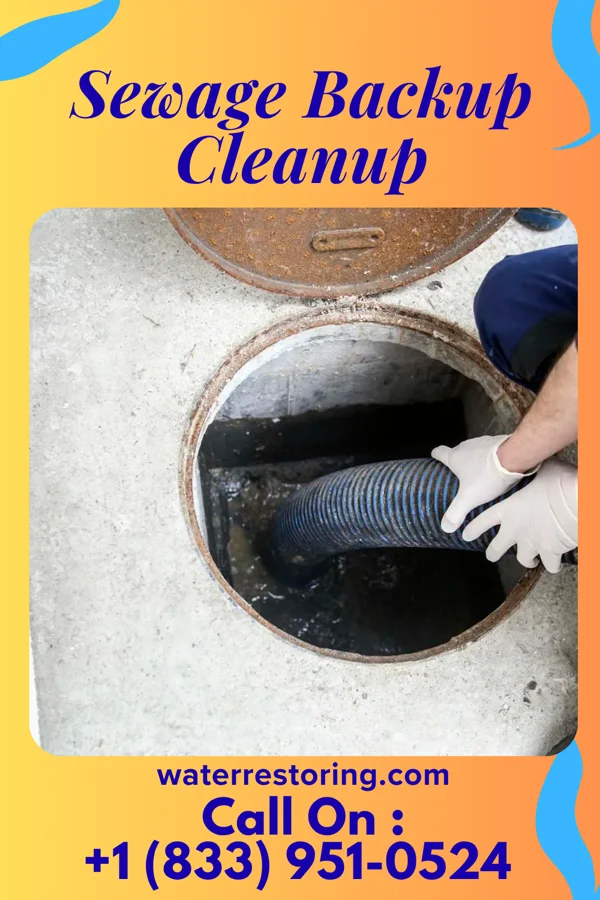 Sewage Backup Cleanup in Grey Eagle, MN